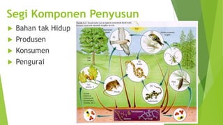 Segi Komponen Penyusun


Bahan tak Hidup



Produsen



Konsumen



Pengurai

 