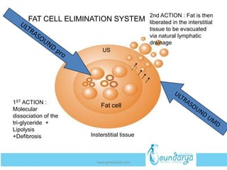 Fat cell
FAT CELL ELIMINATION SYSTEM
1ST ACTION :
Molecular
dissociation of the
tri-glyceride +
Lipolysis
+Defibrosis
2nd ACTION : Fat is then
liberated in the interstitial
tissue to be evacuated
via natural lymphatic
drainage
Insterstitial tissue
US
www.getwelluae.com
 