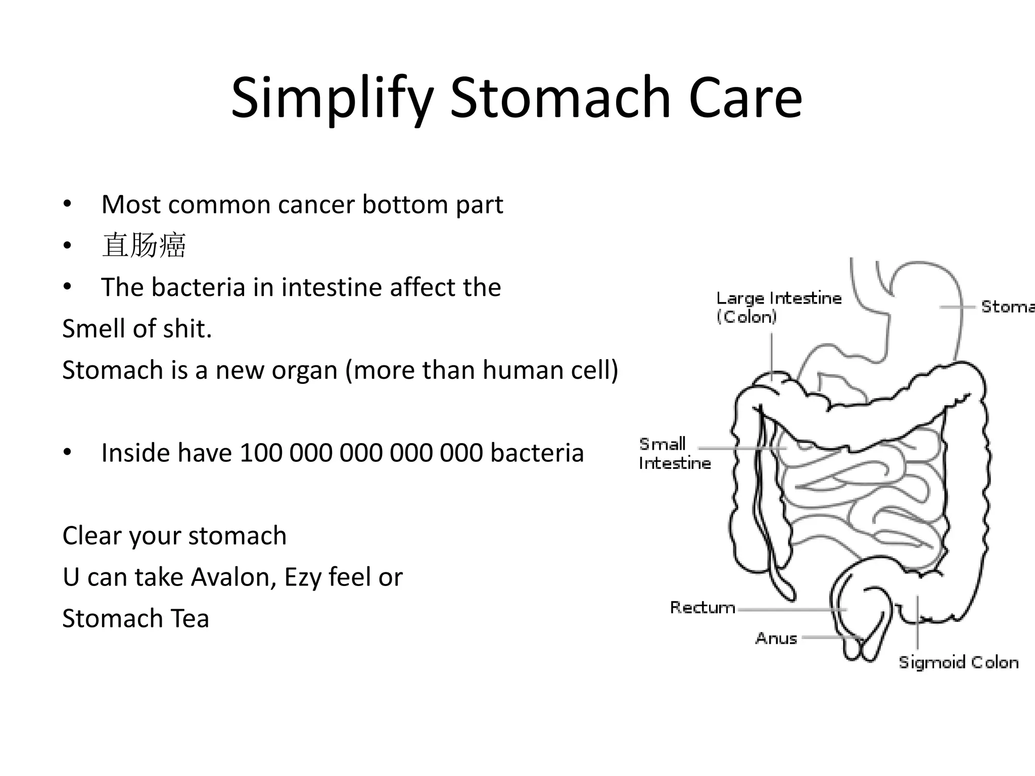 Simplify Stomach Care
• Most common cancer bottom part
• 直肠癌
• The bacteria in intestine affect the
Smell of shit.
Stomach is a new organ (more than human cell)
• Inside have 100 000 000 000 000 bacteria
Clear your stomach
U can take Avalon, Ezy feel or
Stomach Tea
 