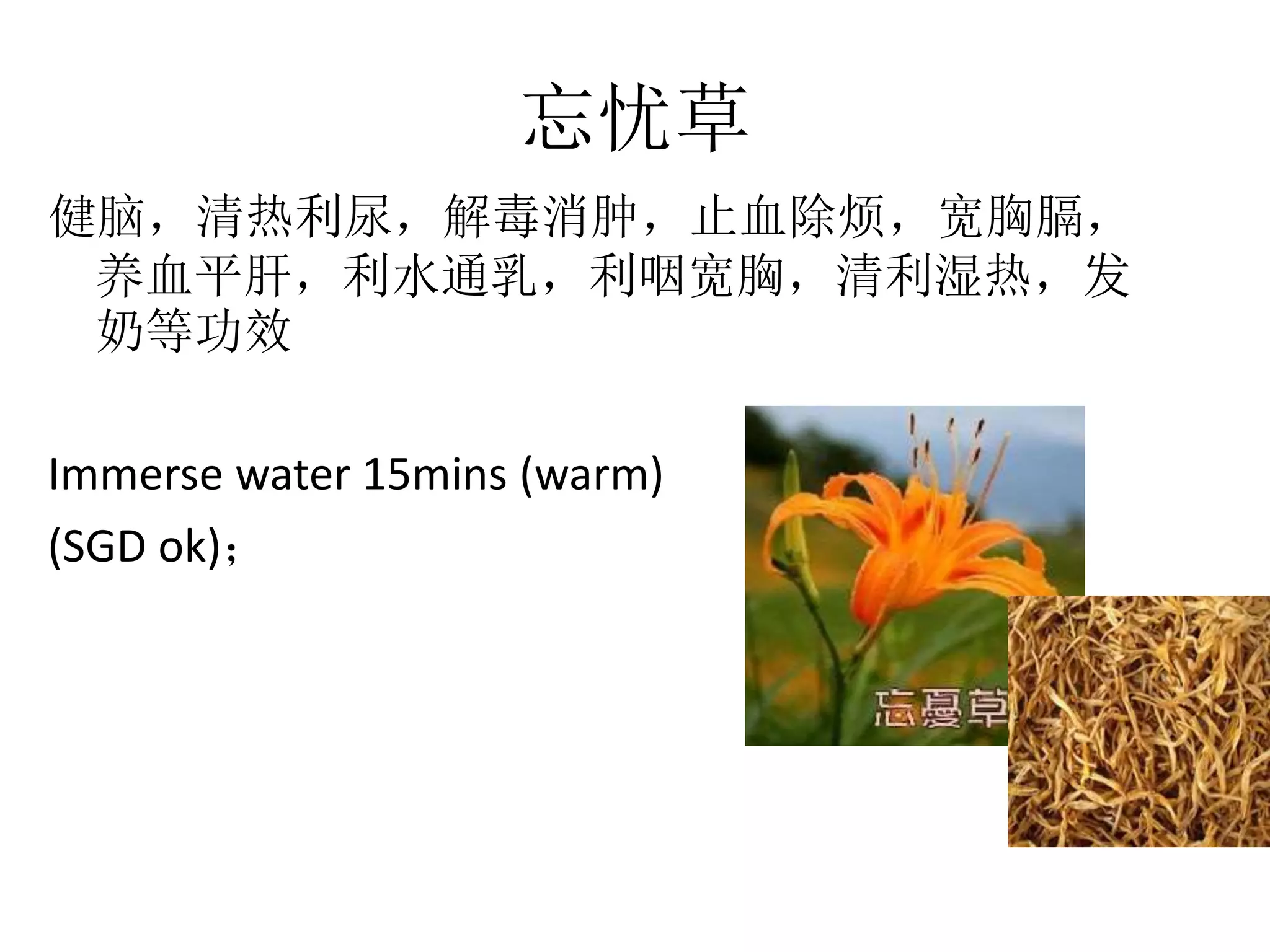 忘忧草
健脑，清热利尿，解毒消肿，止血除烦，宽胸膈，
养血平肝，利水通乳，利咽宽胸，清利湿热，发
奶等功效
Immerse water 15mins (warm)
(SGD ok)；
 