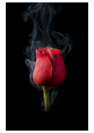 Mobile phone wallpaper - Wallpapers for mobile background