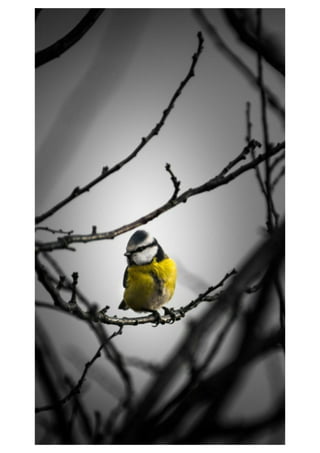 Mobile phone wallpaper - Wallpapers for mobile background