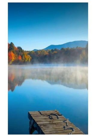 Mobile phone wallpaper - Wallpapers for mobile background