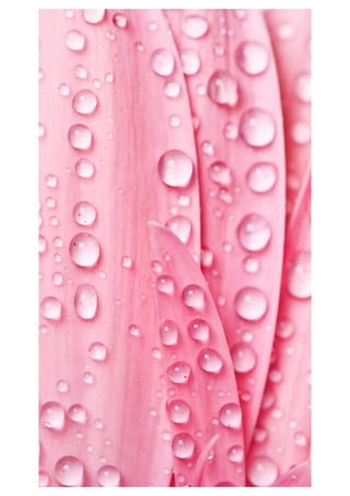 Mobile phone wallpaper - Wallpapers for mobile background