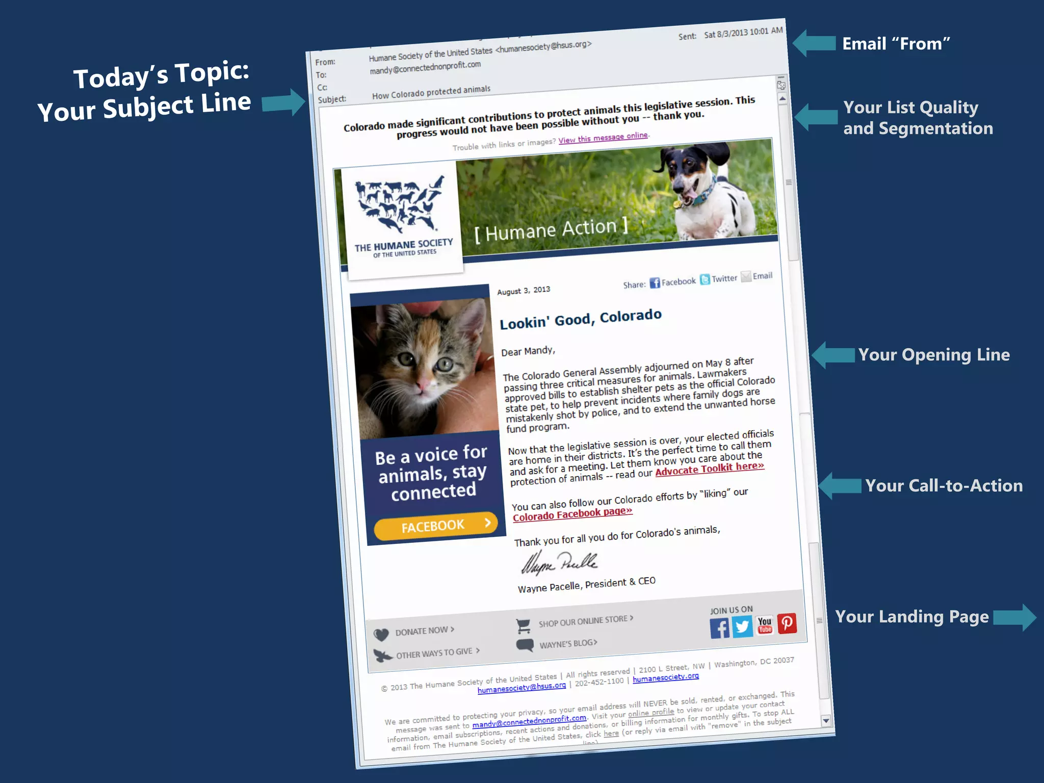 Your Landing Page
Your Opening Line
Your Call-to-Action
Your List Quality
and Segmentation
Email “From”
 