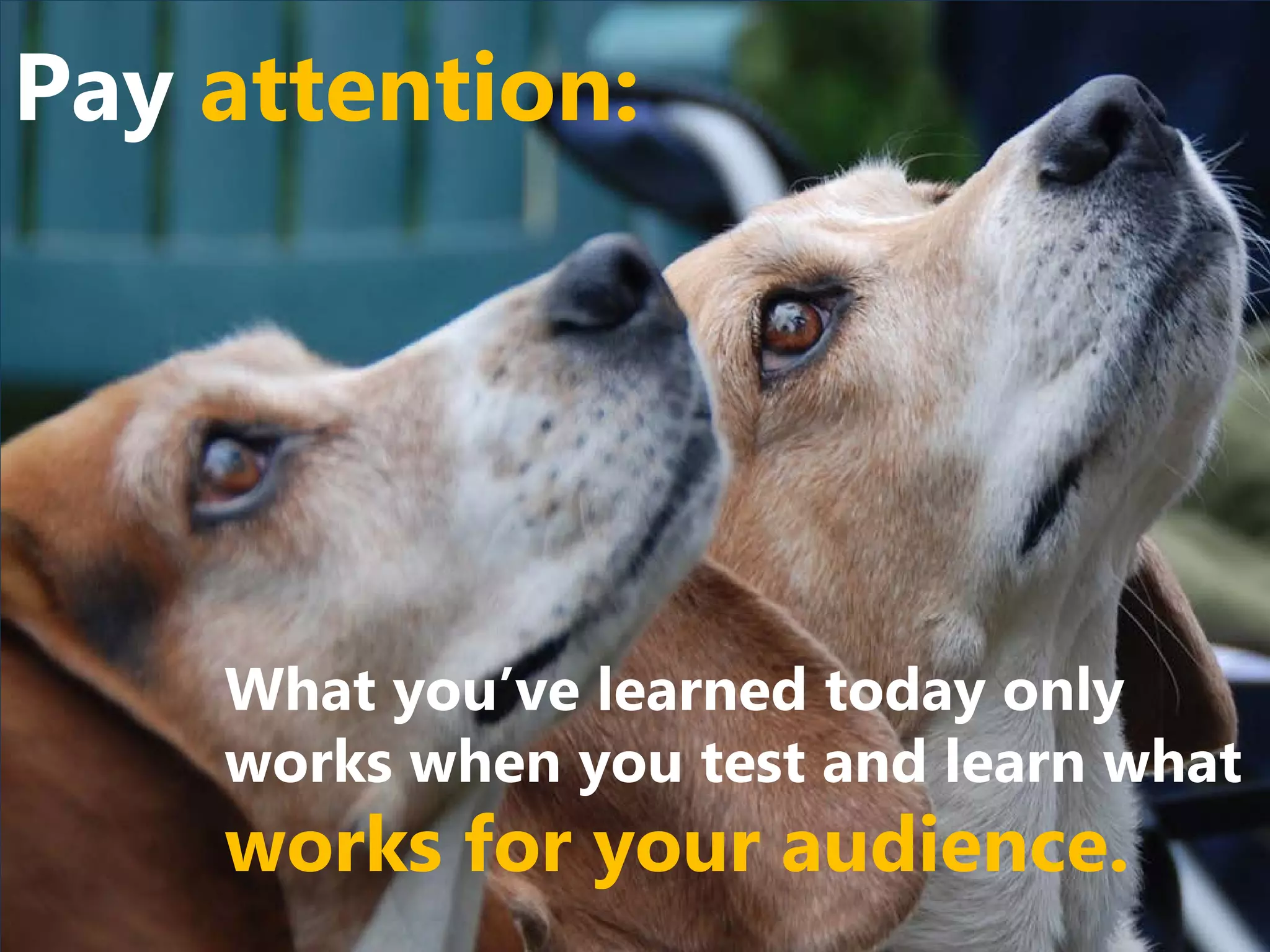 What you’ve learned today only
works when you test and learn what
works for your audience.
Pay attention:
 