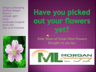 Slide Show of Great Ohio Flowers
Brought to you by:
Morgan Landscaping
Matthew Morgan
Phone #-
(330)401-6871
Email-
Landscape.morgan@
gmail.com
Like us on Facebook
 