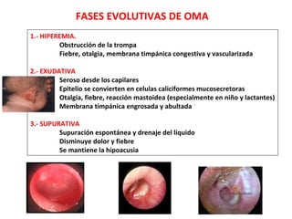 FASES EVOLUTIVAS DE OMA 
1.- HIPEREMIA. 
Obstrucción de la trompa 
Fiebre, otalgia, membrana timpánica congestiva y vascularizada 
2.- EXUDATIVA 
Seroso desde los capilares 
Epitelio se convierten en celulas caliciformes mucosecretoras 
Otalgia, fiebre, reacción mastoidea (especialmente en niño y lactantes) 
Membrana timpánica engrosada y abultada 
3.- SUPURATIVA 
Supuración espontánea y drenaje del líquido 
Disminuye dolor y fiebre 
Se mantiene la hipoacusia 
 