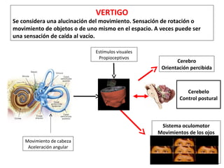 VERTIGO 
Se considera una alucinación del movimiento. Sensación de rotación o 
movimiento de objetos o de uno mismo en el espacio. A veces puede ser 
una sensación de caída al vacío. 
Estímulos visuales 
Propioceptivos Cerebro 
Orientación percibida 
Cerebelo 
Control postural 
Sistema oculomotor 
Movimientos de los ojos 
Movimiento de cabeza 
Aceleración angular 
 