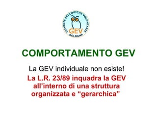 COMPORTAMENTO GEV La GEV individuale non esiste! La L.R. 23/89 inquadra la GEV all’interno di una struttura organizzata e “gerarchica”   