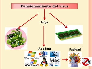 Funcionamiento del virus AlojaApodera Payload 