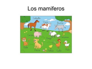 Los mamiferos 