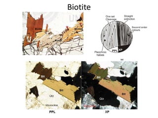 Biotite
 