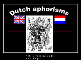 Dutch aphorisms “ It’s raining cats and dogs ” 
