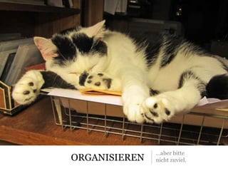 ORGANISIEREN
…aber bitte
nicht zuviel.
 