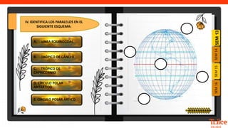 SEM
14
SEM
16
SEM
15
SEM
13
A. LÍNEA EQUINOCCIAL
E. CÍRCULO POLAR ÁRTICO
D. CÍRCULO POLAR
ANTÁRTICO
C. TRÓPICO DE
CAPRICORNIO
B. TRÓPICO DE CÁNCER
IV. IDENTIFICA LOS PARALELOS EN EL
SIGUIENTE ESQUEMA:
 