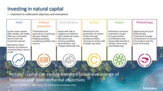 Biodiversity 101: Dependencies, impacts and opportunities | PDF