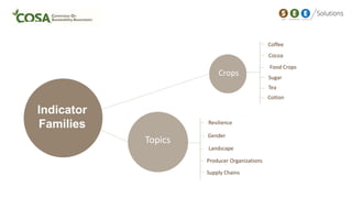 Indicator
Families
Coffee
Cocoa
Sugar
Topics
Crops
Resilience
Gender
Producer Organizations
Tea
Cotton
Landscape
Food Crops
Supply Chains
 