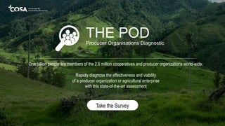 Take the Survey
One billion people are members of the 2.6 million cooperatives and producer organizations world-wide.
Rapidly diagnose the effectiveness and viability
of a producer organization or agricultural enterprise
with this state-of-the-art assessment
 