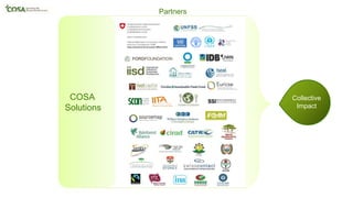 Collective
Impact
Partners
COSA
Solutions
 