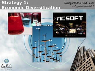 Strategy 1:
Economic Diversification
 