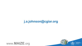 www.MAIZE.org
j.a.johnson@cgiar.org
 