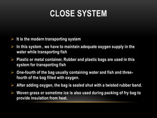 CLOSE SYSTEM
 It is the modern transporting system
 In this system , we have to maintain adequate oxygen supply in the
water while transporting fish
 Plastic or metal container, Rubber and plastic bags are used in this
system for transporting fish
 One-fourth of the bag usually containing water and fish and three-
fourth of the bag filled with oxygen.
 After adding oxygen, the bag is sealed shut with a twisted rubber band.
 Woven grass or sometime ice is also used during packing of fry bag to
provide insulation from heat.
 
