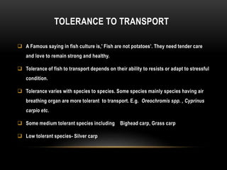 TOLERANCE TO TRANSPORT
 A Famous saying in fish culture is,' Fish are not potatoes’. They need tender care
and love to remain strong and healthy.
 Tolerance of fish to transport depends on their ability to resists or adapt to stressful
condition.
 Tolerance varies with species to species. Some species mainly species having air
breathing organ are more tolerant to transport. E.g. Oreochromis spp. , Cyprinus
carpio etc.
 Some medium tolerant species including Bighead carp, Grass carp
 Low tolerant species- Silver carp
 