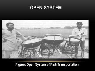 OPEN SYSTEM
Figure: Open System of Fish Transportation
 