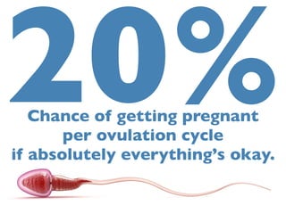 20% Chance of getting pregnant 
per ovulation cycle 
if absolutely everything’s okay. 
 