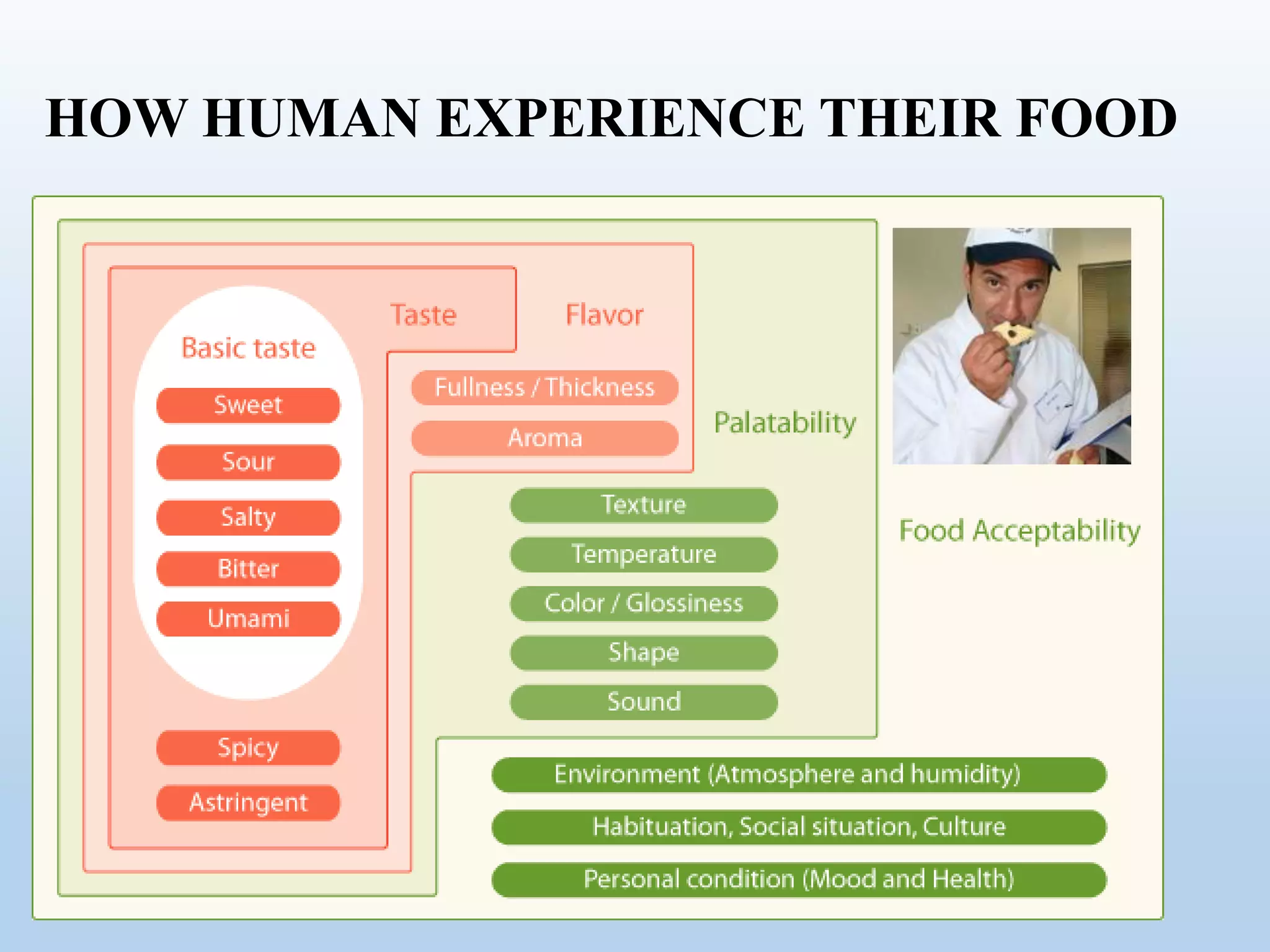 Fødevare Sensorik sensory evaluation and requirements, and importance in food industry | PPTX