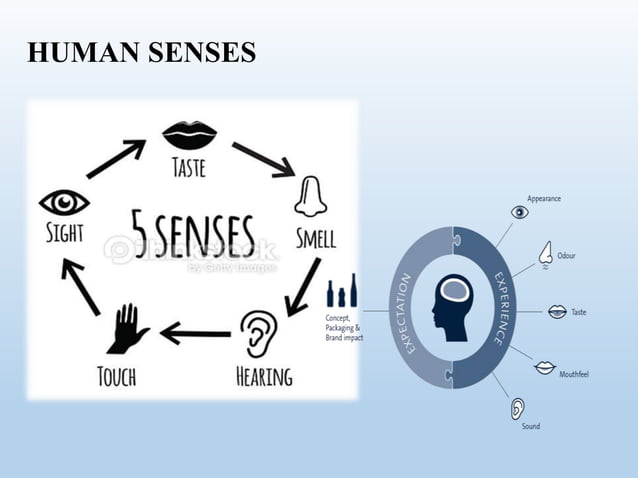 sensory evaluation and requirements, and importance in food industry | PPTX