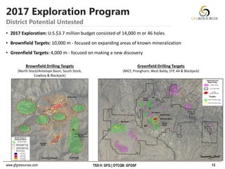 www.gfgresources.com TSX-V: GFG | OTCQB: GFGSF
2017 Exploration Program
13
District Potential Untested
Greenfield Drilling Targets
(MGT, Pronghorn, West Baldy, STP, 44 & Blackjack)
Brownfield Drilling Targets
(North Stock/Antelope Basin, South Stock,
Cowboy & Blackjack)
• 2017 Exploration: U.S.$3.7 million budget consisted of 14,000 m or 46 holes
• Brownfield Targets: 10,000 m - focused on expanding areas of known mineralization
• Greenfield Targets: 4,000 m - focused on making a new discovery
 