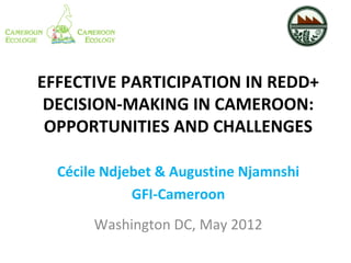 EFFECTIVE PARTICIPATION IN REDD+
 DECISION-MAKING IN CAMEROON:
 OPPORTUNITIES AND CHALLENGES

  Cécile Ndjebet & Augustine Njamnshi
             GFI-Cameroon
       Washington DC, May 2012
 