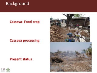 Innovative processing of cassava peels to livestock feeds—A collaborative project by ILRI, IITA and CIP