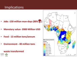 Innovative processing of cassava peels to livestock feeds—A collaborative project by ILRI, IITA and CIP