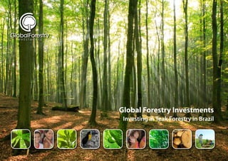 Global Forestry Investments
 Investing in Teak Forestry in Brazil
 
