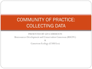 COMMUNITY OF PRACTICE:
     COLLECTING DATA
              PRESENTED BY GFI CAMEROON
Bioresources Development and Conservation Cameroon (BDCPC)
                             &
                Cameroon Ecology (CAM Eco)
 