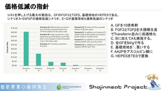 価格低減の指針
コストを押し上げる最大の要因は、 GFのFGF2とTGFβ、基礎培地のHEPESである。
シナリオA~DがGFの価格低減シナリオ、 E~Gが基礎培地も価格低減のシナリオ
A. GFを10倍希釈
B. FGF2とTGFβを大規模生産
でTransferrin並みに低価格化
C. Bに加えてAも実施する。
D. 全GFを$4/gで作る
E. 基礎培地を㌧買いする
F. AA2Pをアスコルビン酸に
G. HEPESをTESで置換
 
