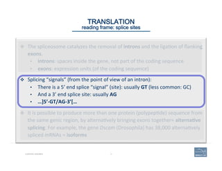 11CURATING GENOMES
TRANSLATION 
reading frame: splice sites
v  The	
  spliceosome	
  catalyzes	
  the	
  removal	
  of	
  introns	
  and	
  the	
  liga'on	
  of	
  ﬂanking	
  
exons.	
  
•  introns:	
  spaces	
  inside	
  the	
  gene,	
  not	
  part	
  of	
  the	
  coding	
  sequence	
  
•  exons:	
  expression	
  units	
  (of	
  the	
  coding	
  sequence)	
  
v  Splicing	
  “signals”	
  (from	
  the	
  point	
  of	
  view	
  of	
  an	
  intron):	
  	
  
•  There	
  is	
  a	
  5’	
  end	
  splice	
  “signal”	
  (site):	
  usually	
  GT	
  (less	
  common:	
  GC)	
  
•  And	
  a	
  3’	
  end	
  splice	
  site:	
  usually	
  AG	
  
•  …]5’-­‐GT/AG-­‐3’[…	
  
	
  
v  It	
  is	
  possible	
  to	
  produce	
  more	
  than	
  one	
  protein	
  (polypep'de)	
  sequence	
  from	
  
the	
  same	
  genic	
  region,	
  by	
  alterna'vely	
  bringing	
  exons	
  together=	
  alterna=ve	
  
splicing.	
  For	
  example,	
  the	
  gene	
  Dscam	
  (Drosophila)	
  has	
  38,000	
  alterna'vely	
  
spliced	
  mRNAs	
  =	
  isoforms	
  
 