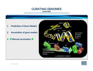 CURATING GENOMES 
overview
1  Predic=on	
  of	
  Gene	
  Models	
  
	
  
	
  
2  Annota=on	
  of	
  gene	
  models	
  
	
  
	
  
3  	
  	
  Manual	
  annota=on	
  
CURATING GENOMES 14
 