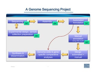 3
A Genome Sequencing Project
Introduction
Assembly
Automated
Annotation
Manual
annotation
Using Web Apollo
Merge:
automated +
manual
Genome-wide & gene-
specific comparative
analyses
QC
QC
Synthesis &
dissemination.
Experimental design, sample
collection preparation.
QC
Sequencing
QC
QC
 