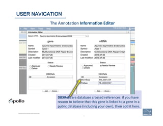 39	
The	
  Annota'on	
  Informa=on	
  Editor	
  
DBXRefs	
  are	
  database	
  crossed	
  references:	
  if	
  you	
  have	
  
reason	
  to	
  believe	
  that	
  this	
  gene	
  is	
  linked	
  to	
  a	
  gene	
  in	
  a	
  
public	
  database	
  (including	
  your	
  own),	
  then	
  add	
  it	
  here.	
  
39	
USER NAVIGATION
Becoming Acquainted with Web Apollo.
 