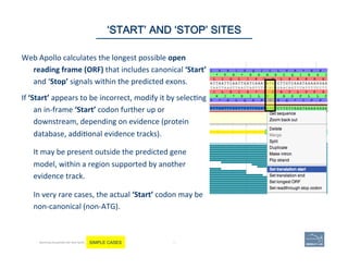 Web	
  Apollo	
  calculates	
  the	
  longest	
  possible	
  open	
  
reading	
  frame	
  (ORF)	
  that	
  includes	
  canonical	
  ‘Start’	
  
and	
  ‘Stop’	
  signals	
  within	
  the	
  predicted	
  exons.	
  	
  
If	
  ‘Start’	
  appears	
  to	
  be	
  incorrect,	
  modify	
  it	
  by	
  selec'ng	
  
an	
  in-­‐frame	
  ‘Start’	
  codon	
  further	
  up	
  or	
  
downstream,	
  depending	
  on	
  evidence	
  (protein	
  
database,	
  addi'onal	
  evidence	
  tracks).	
  	
  
	
  
It	
  may	
  be	
  present	
  outside	
  the	
  predicted	
  gene	
  
model,	
  within	
  a	
  region	
  supported	
  by	
  another	
  
evidence	
  track.	
  
	
  
In	
  very	
  rare	
  cases,	
  the	
  actual	
  ‘Start’	
  codon	
  may	
  be	
  
non-­‐canonical	
  (non-­‐ATG).	
  	
  
53 | 53	
‘START’ AND ‘STOP’ SITES
Becoming Acquainted with Web Apollo. SIMPLE CASES
 