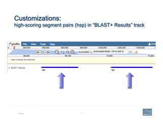 Customizations:  
high-scoring segment pairs (hsp) in “BLAST+ Results” track
Example 73
 