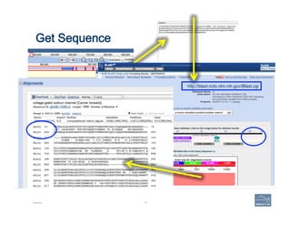 Get Sequence
Example 76
http://blast.ncbi.nlm.nih.gov/Blast.cgi
 