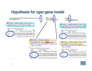 Hypothesis for vgsc gene model
Example 79
 