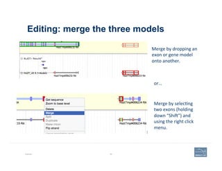 Editing: merge the three models
Example 80
Merge	
  by	
  dropping	
  an	
  
exon	
  or	
  gene	
  model	
  
onto	
  another.	
  
Merge	
  by	
  selec'ng	
  
two	
  exons	
  (holding	
  
down	
  “Shiv”)	
  and	
  
using	
  the	
  right	
  click	
  
menu.	
  
or…	
  
 