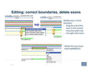 Editing: correct boundaries, delete exons
Example 81
Modify	
  exon	
  /	
  intron	
  
boundary:	
  	
  
-­‐  Drag	
  the	
  end	
  of	
  the	
  
exon	
  to	
  the	
  nearest	
  
canonical	
  splice	
  site.	
  
-­‐  Use	
  right-­‐click	
  menu.	
  
Delete	
  ﬁrst	
  exon	
  from	
  
HaztTmpM006233	
  
 