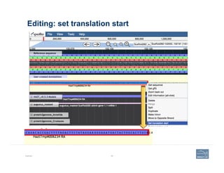 Editing: set translation start
Example 82
 